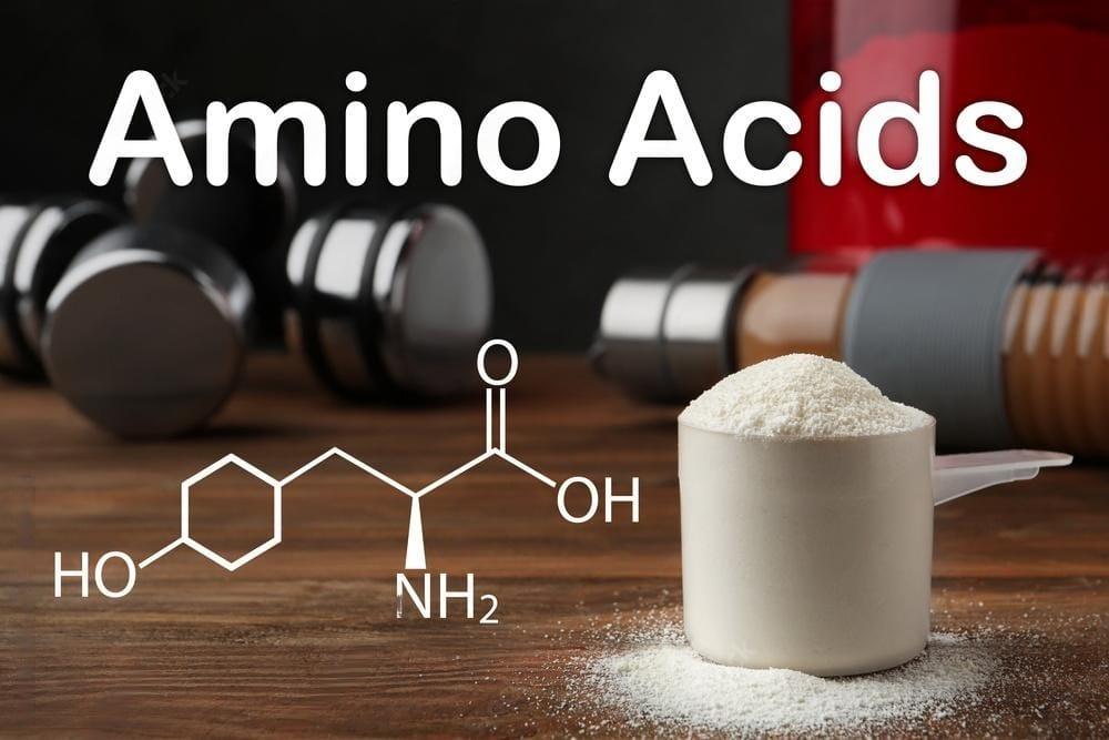 Essential Amino Acid EAA