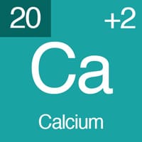 Calcium